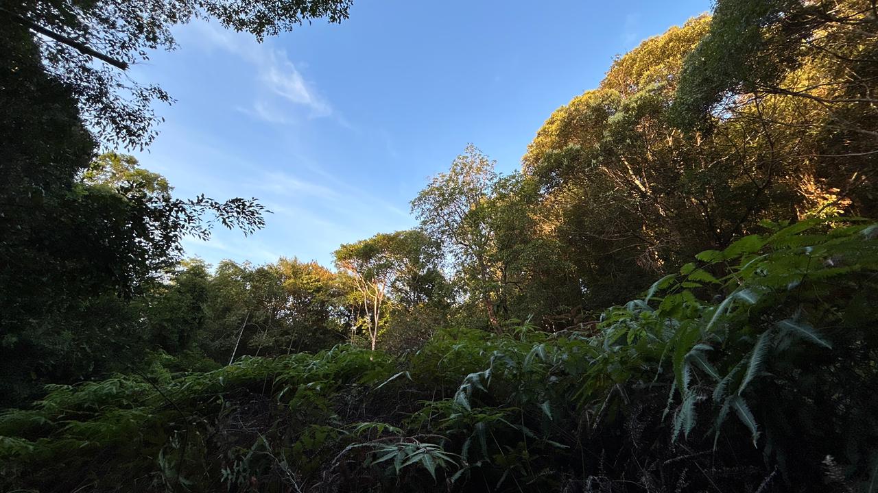 JELAJAH SUNGAI LEKOP